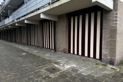 IMG_3139