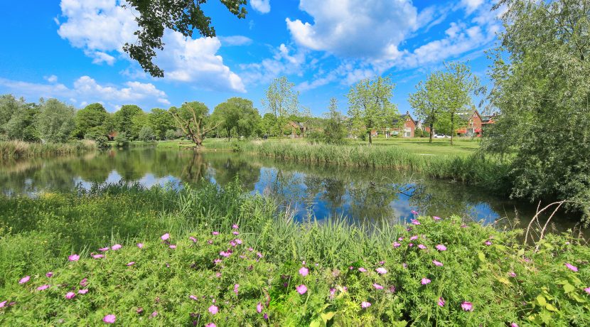 72 Fazantstr 31 omgeving 01c