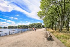 38 CvRijplnts 49 omgeving 01e