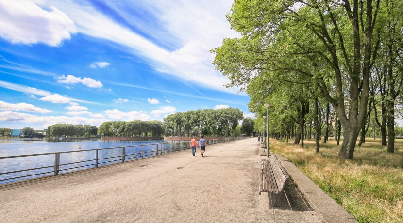 38 CvRijplnts 49 omgeving 01e