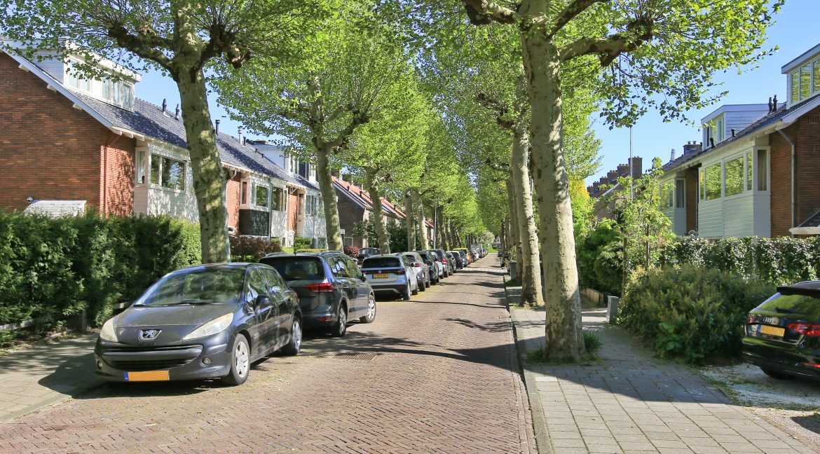 34 Ibisstraat 48 Straatbeeld 01a
