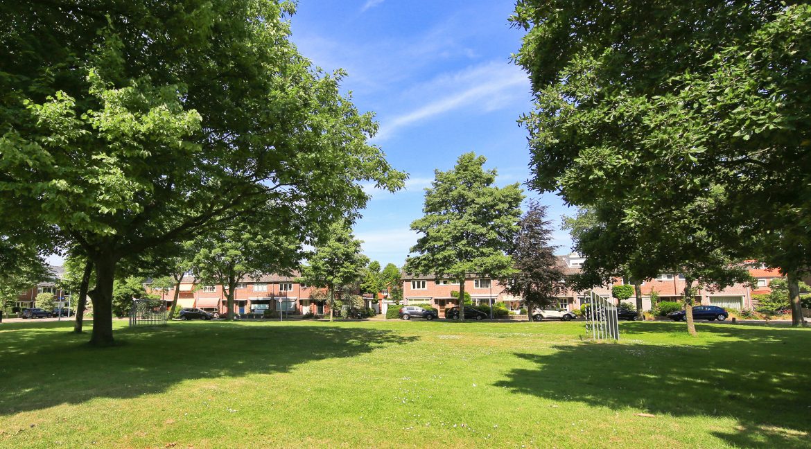35 Ibisstraat 48 Omgeving 01a