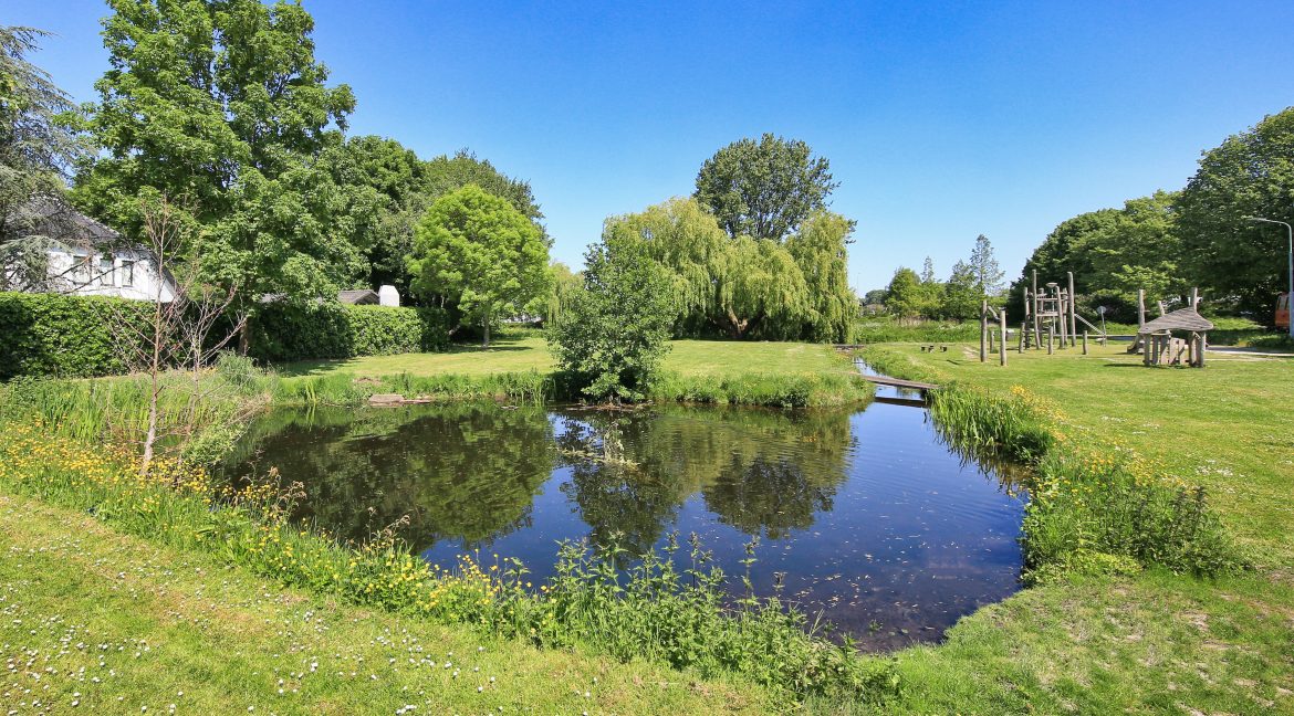 36 Ibisstraat 48 Omgeving 01b
