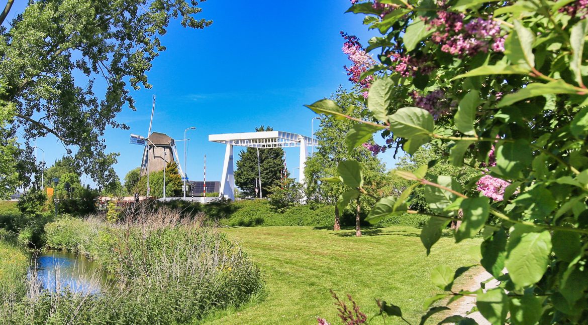 37 Ibisstraat 48 Omgeving 01c