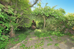 21 Franklinstraat 18 Tuin 01d