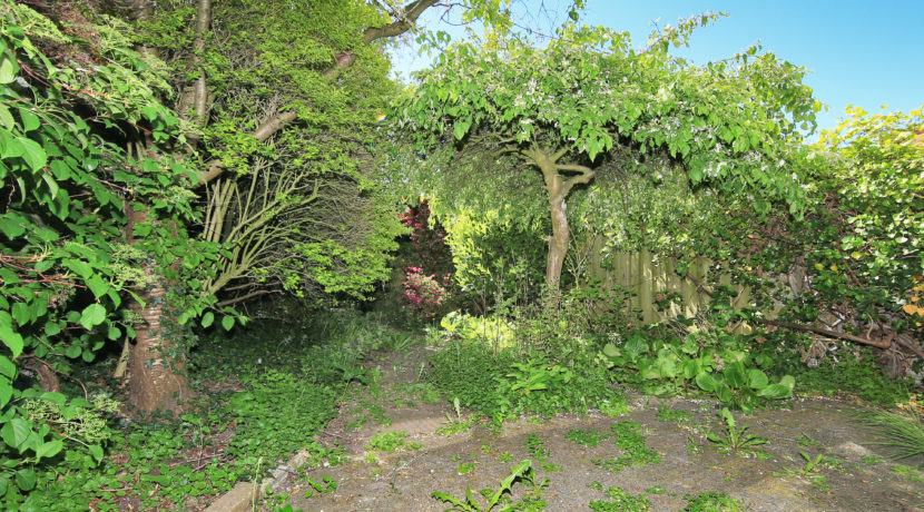 21 Franklinstraat 18 Tuin 01d