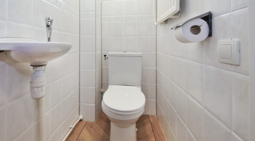 26 Mijehof 79 Toilet 01a