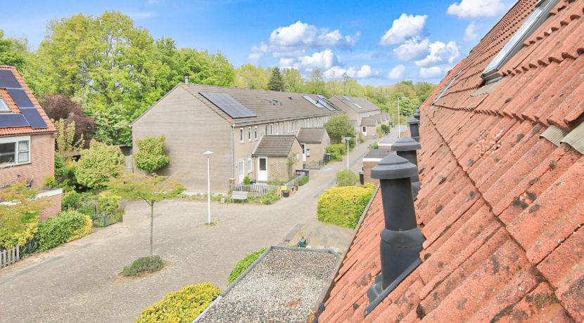 38 Mijehof 79 Straatbeeld 01c