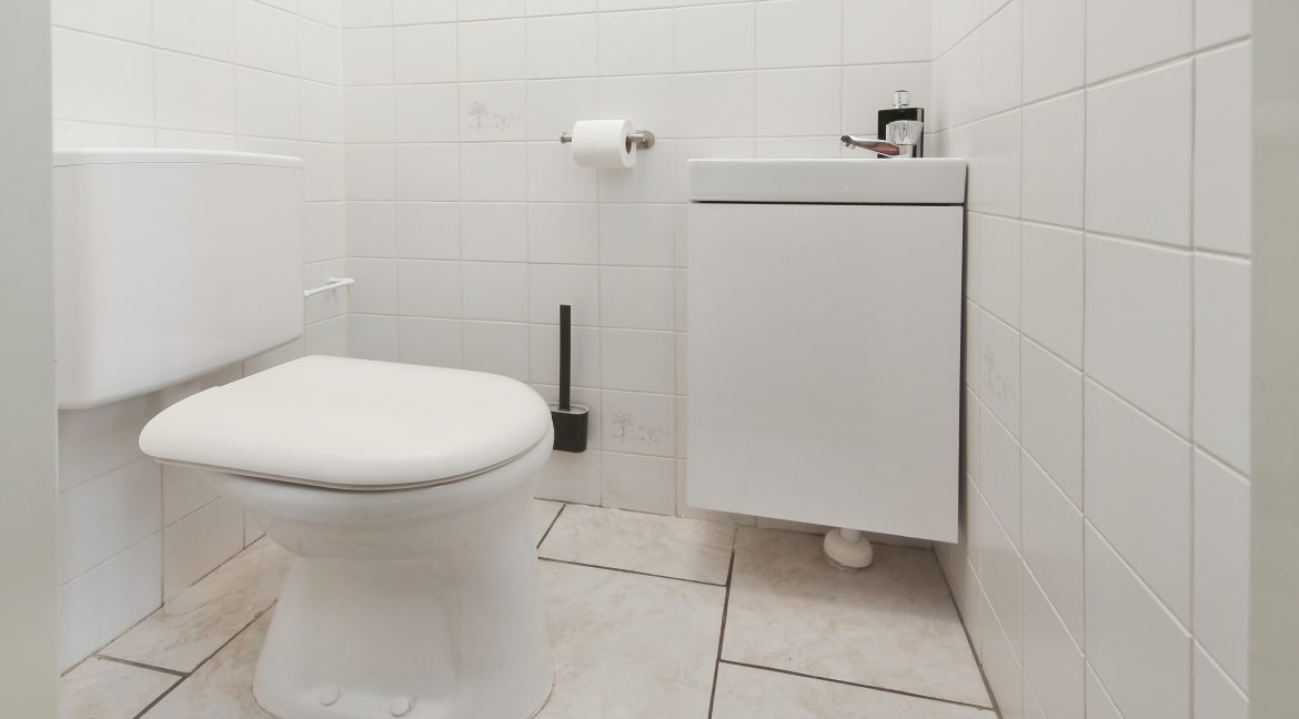 29 Geraniumln 111 wc 01a
