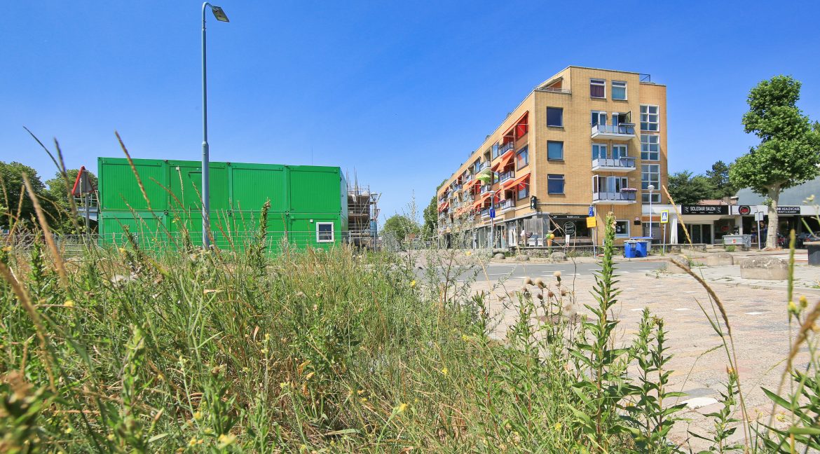 30 Arendstr 29 omgeving 01a