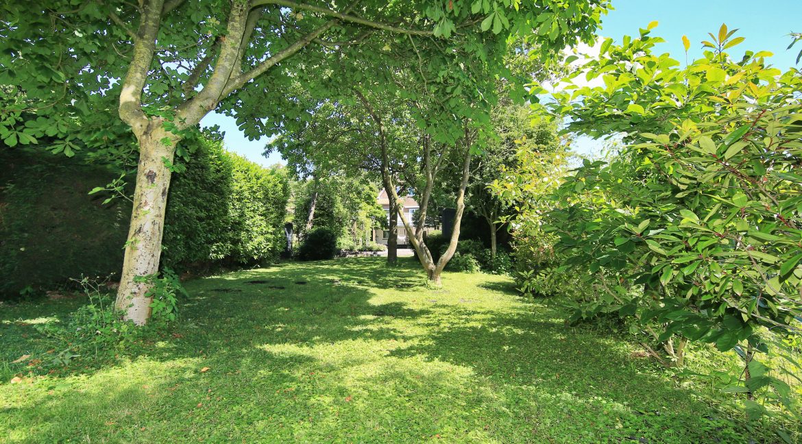 52 Nieuwemeerdijk 377 tuin