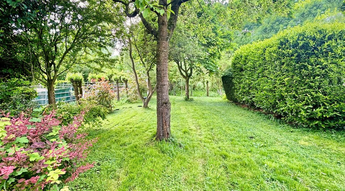 53 Nieuwemeerdijk 377 Tuin