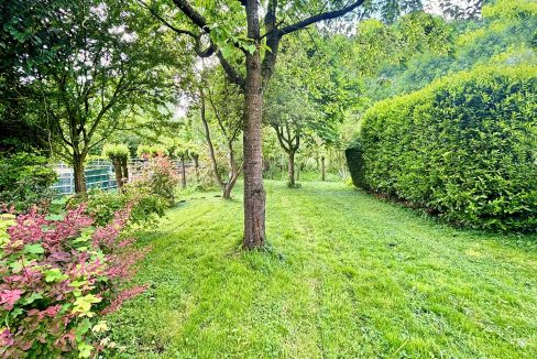 53 Nieuwemeerdijk 377 Tuin