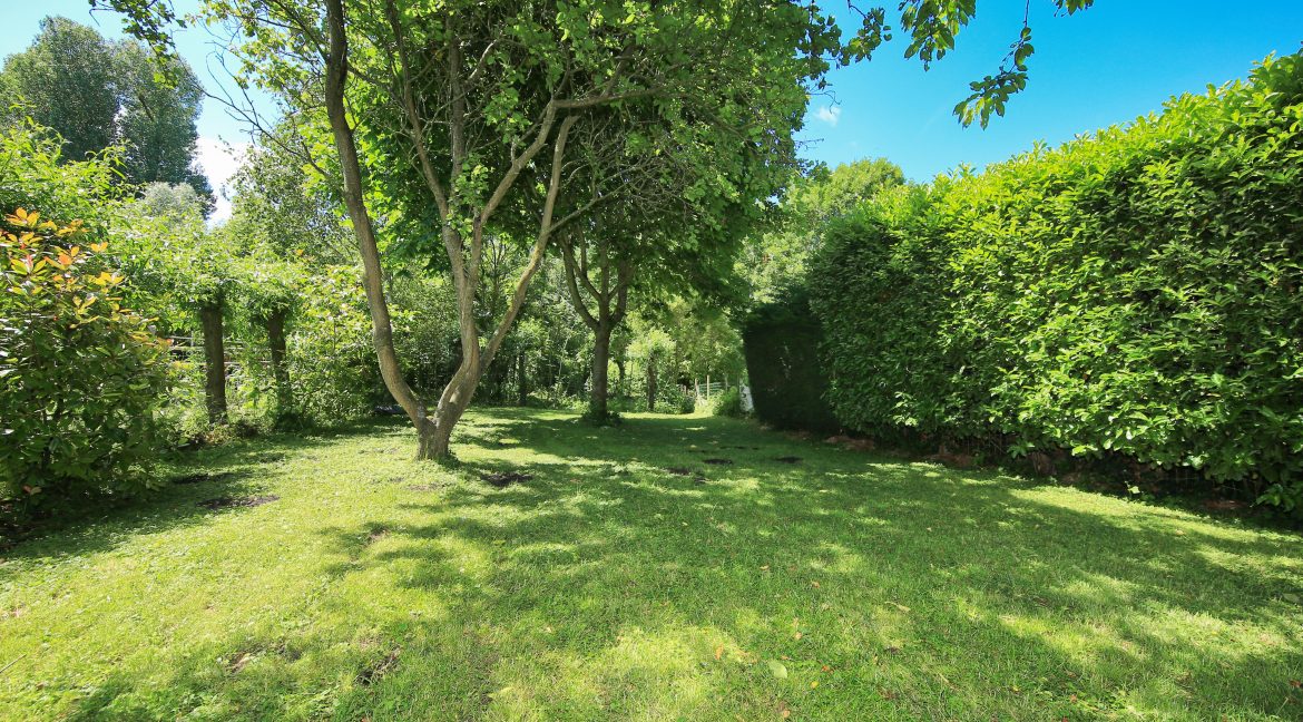 55 Nieuwemeerdijk 377 Tuin 01h
