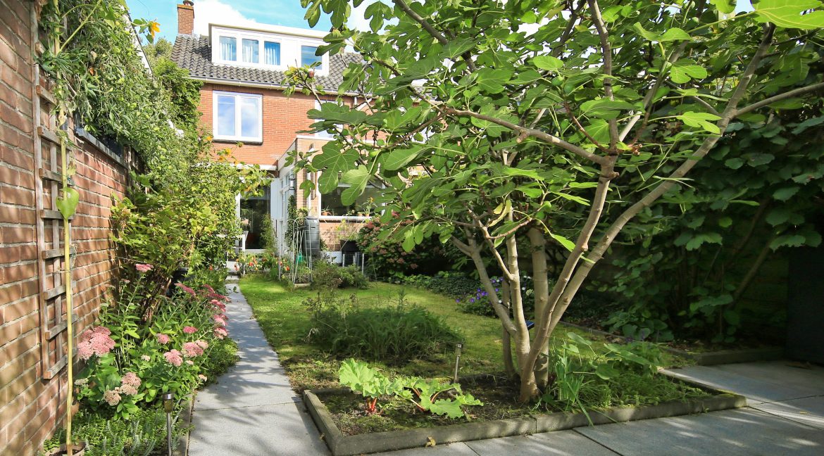 38 Zwaluwstr 13 Tuin 01d