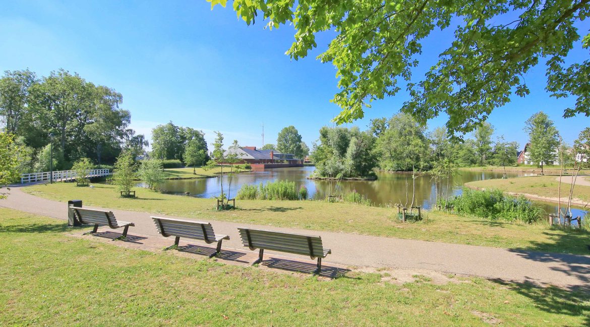 53 Geranium 123 Omgeving 01a